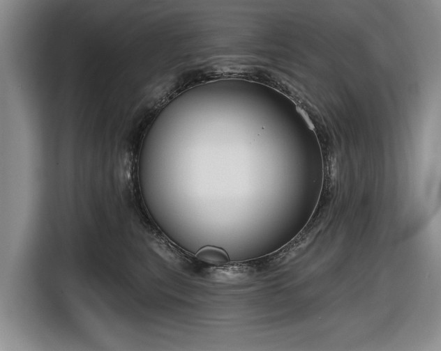 X0000116550567200912171351