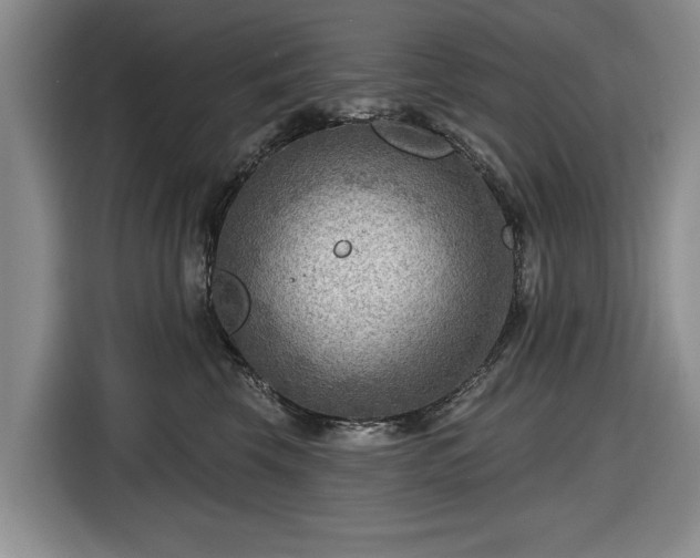 X0000116550569200912171351