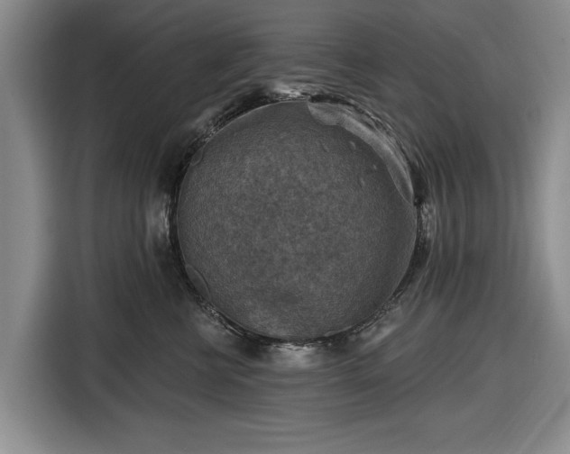 X0000116550570200912171351