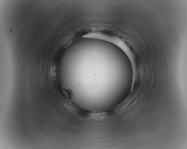 X0000116550571200912171351