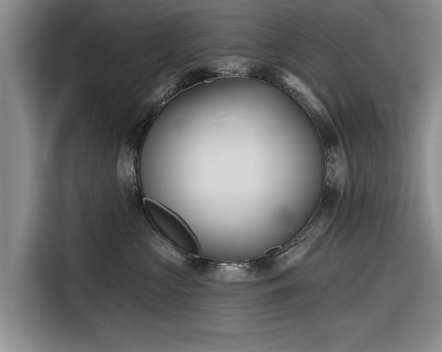 X0000116550573200912171351