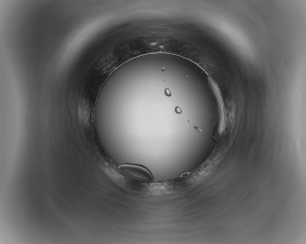 X0000116550574200912171351