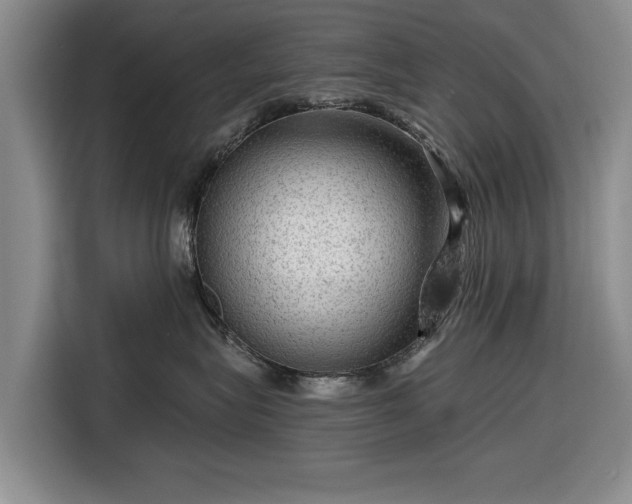 X0000116550575200912171351