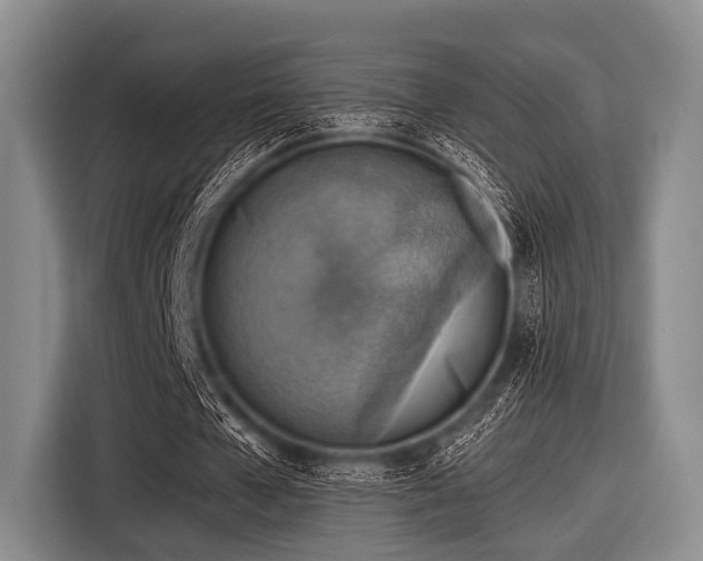 X0000116550577200912171351