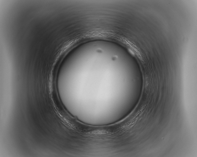 X0000116550578200912171351