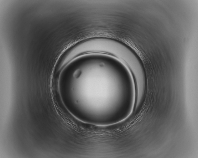 X0000116550579200912171351