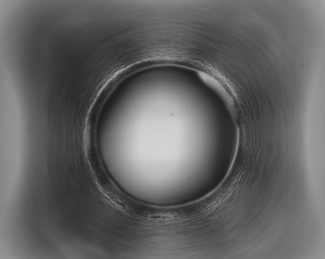 X0000116550580200912171351