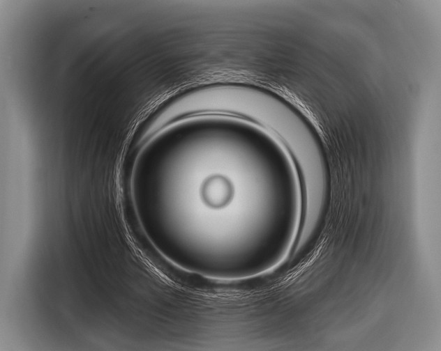 X0000116550581200912171351