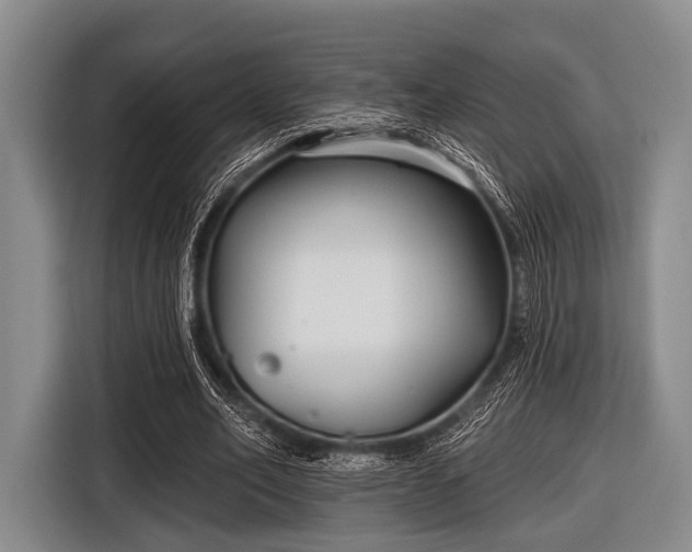 X0000116550582200912171351