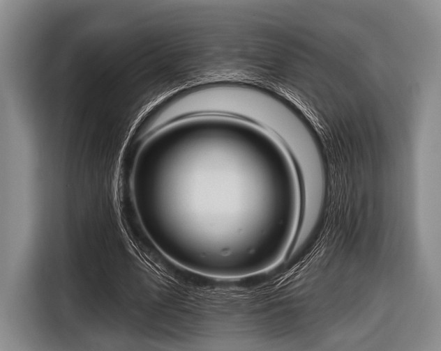 X0000116550583200912171351