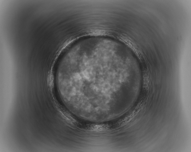 X0000116550584200912171351