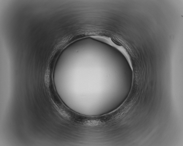 X0000116550586200912171351