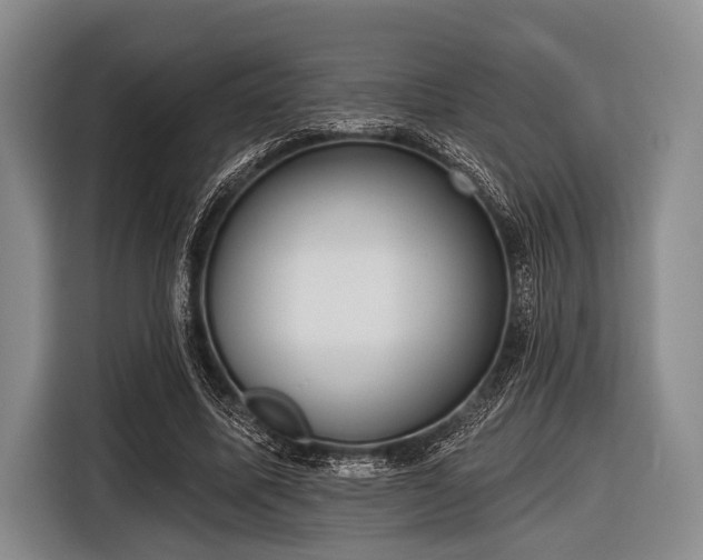 X0000116550587200912171351