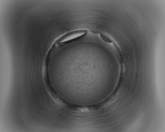 X0000116550588200912171351