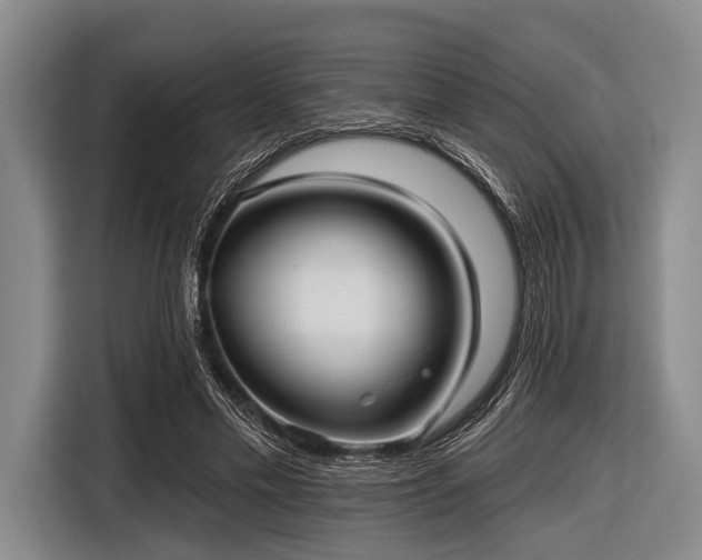 X0000116550589200912171350