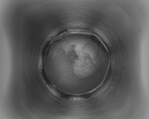 X0000116550590200912171350