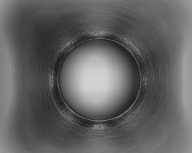 X0000116550591200912171350