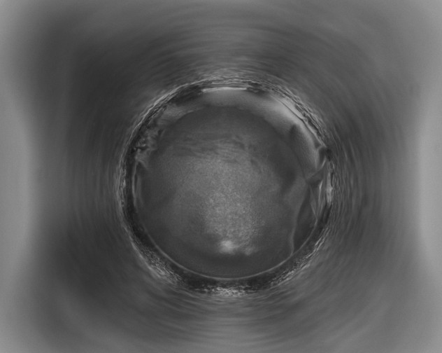 X0000116550592200912171350