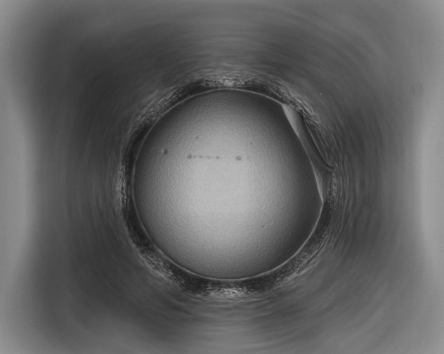 X0000116550594200912171350