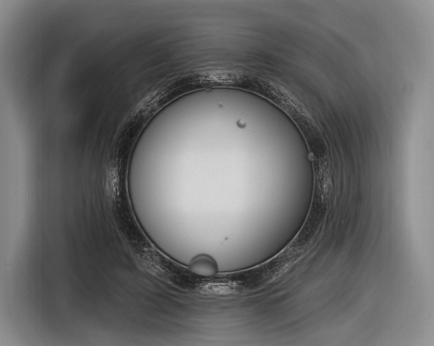 X0000116550595200912171350