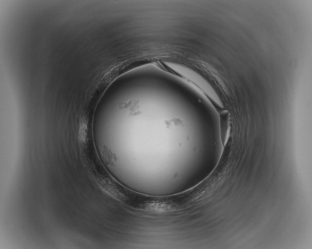 X0000116550596200912171350