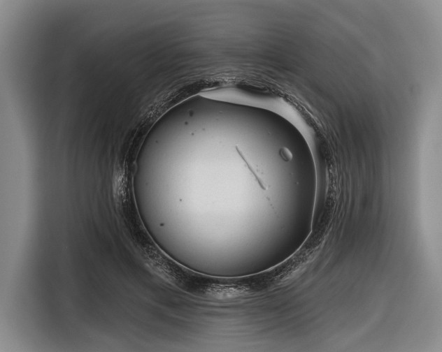 X0000116550597200912171350