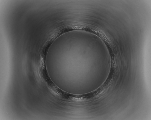 X0000116550598200912171350