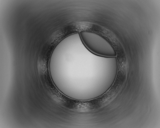 X0000116550599200912171350