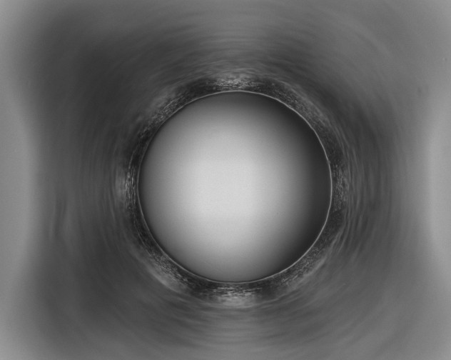 X0000116550601200912171350