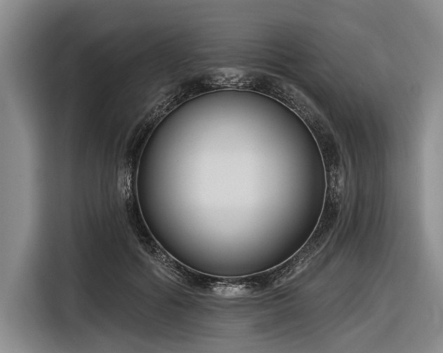 X0000116550602200912171350