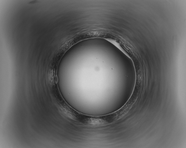 X0000116550605200912171350