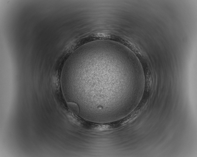 X0000116550609200912171350