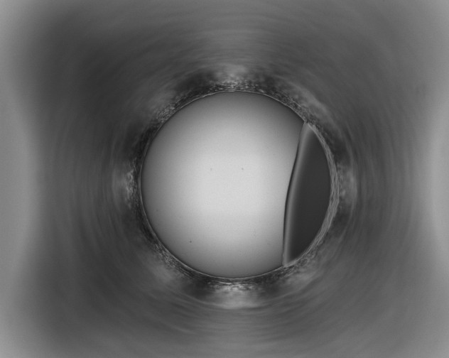 X0000116550611200912171350