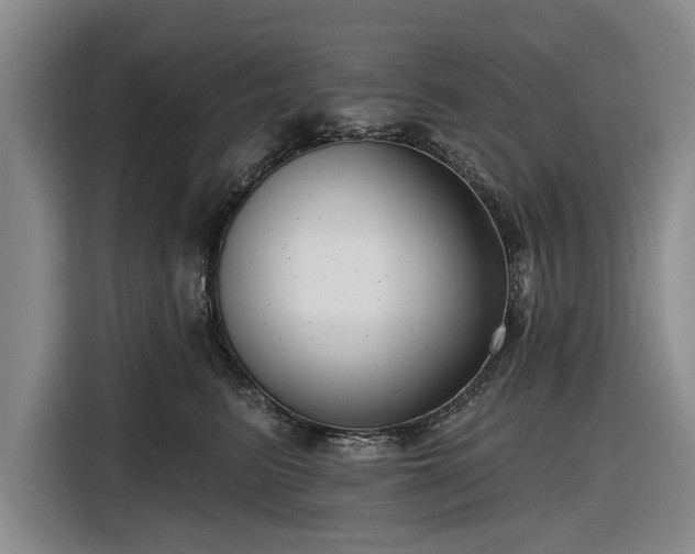 X0000116550615200912171350