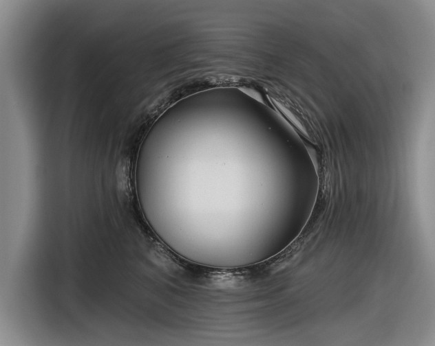 X0000116550616200912171350