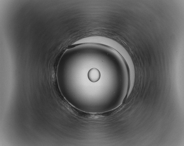 X0000116550617200912171350