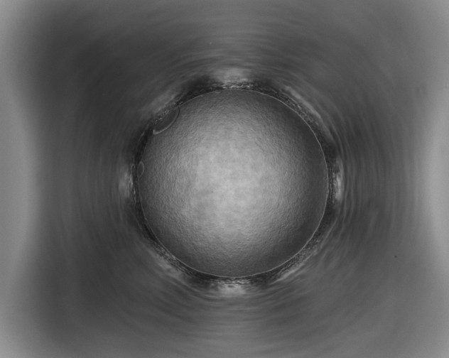 X0000116550618200912171350