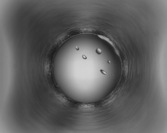 X0000116550619200912171350