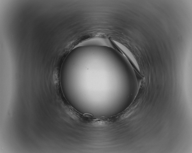 X0000116550620200912171350