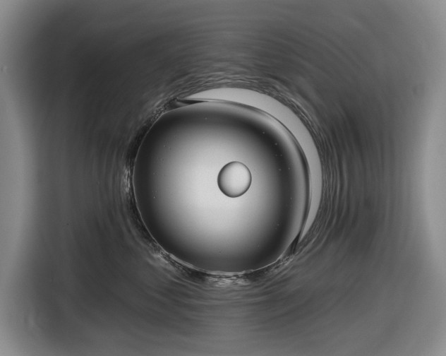 X0000116550621200912171350