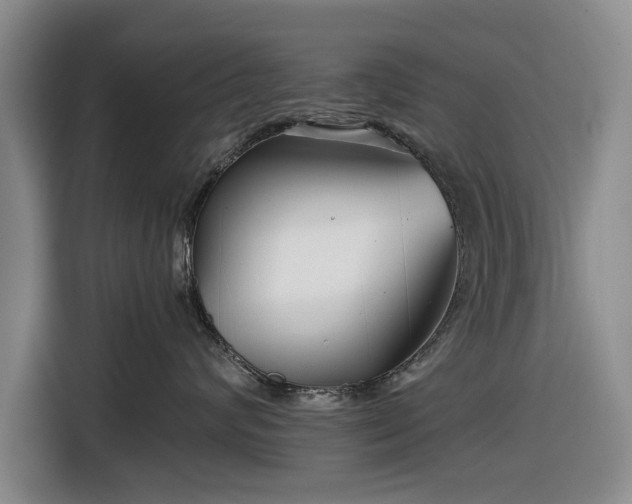 X0000116550624200912171350