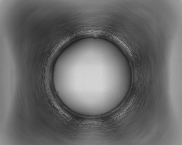 X0000116550625200912171349