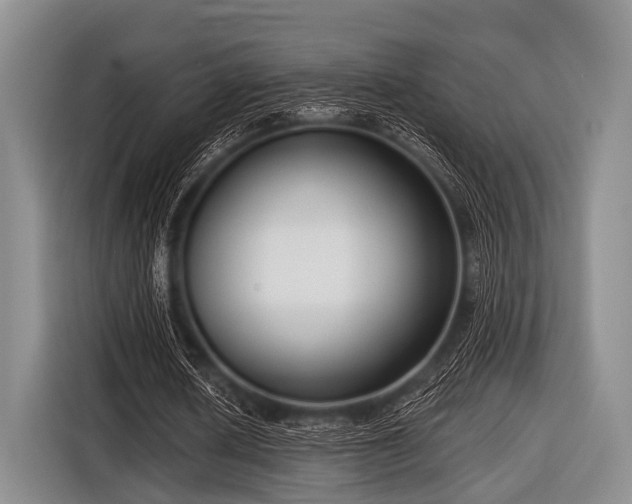 X0000116550626200912171349