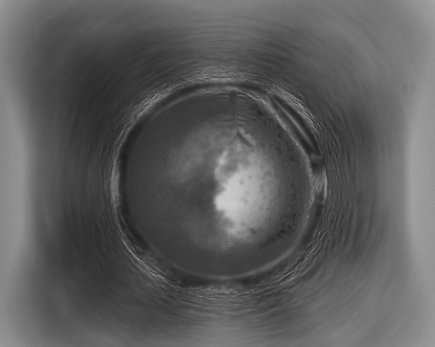 X0000116550627200912171349