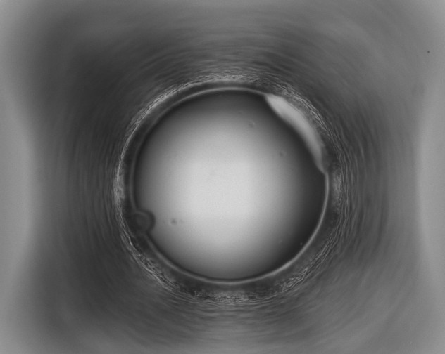 X0000116550628200912171349