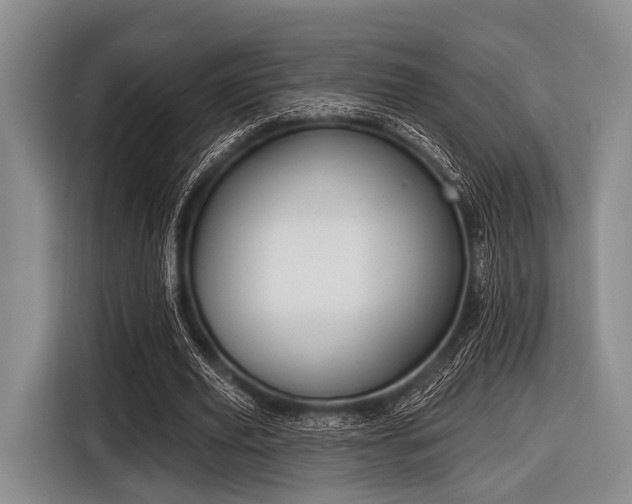 X0000116550629200912171349