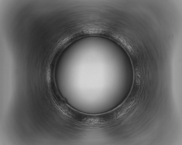 X0000116550631200912171349