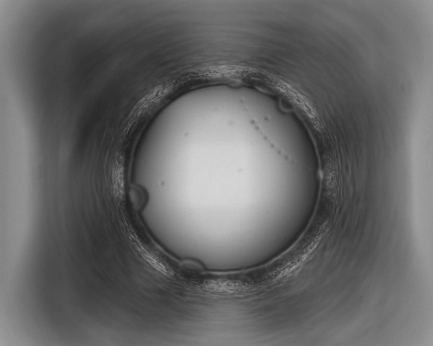 X0000116550633200912171350