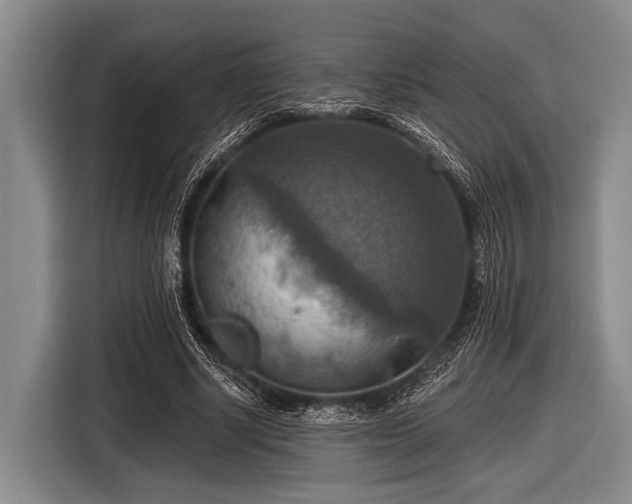 X0000116550634200912171350