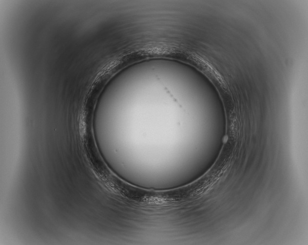 X0000116550635200912171350